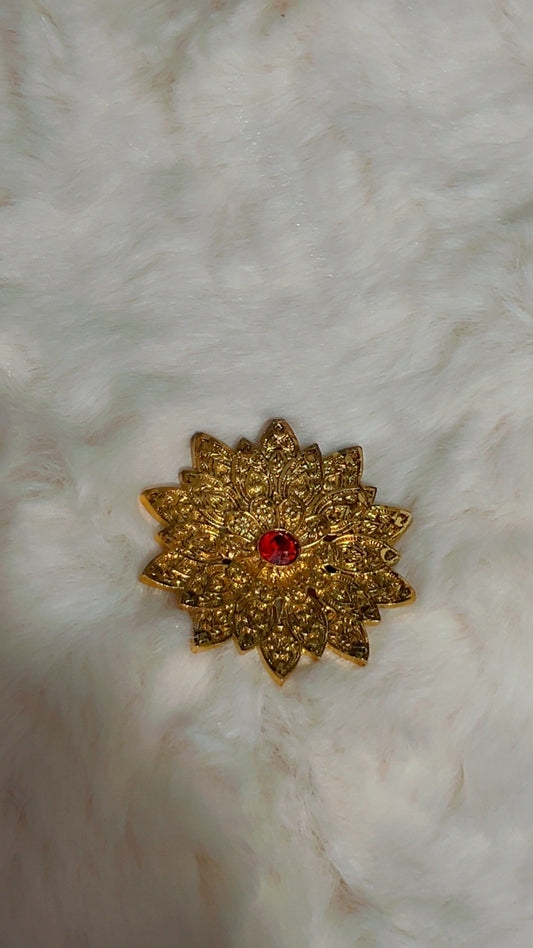 Broche✨